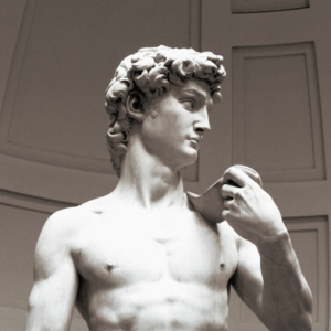The David
